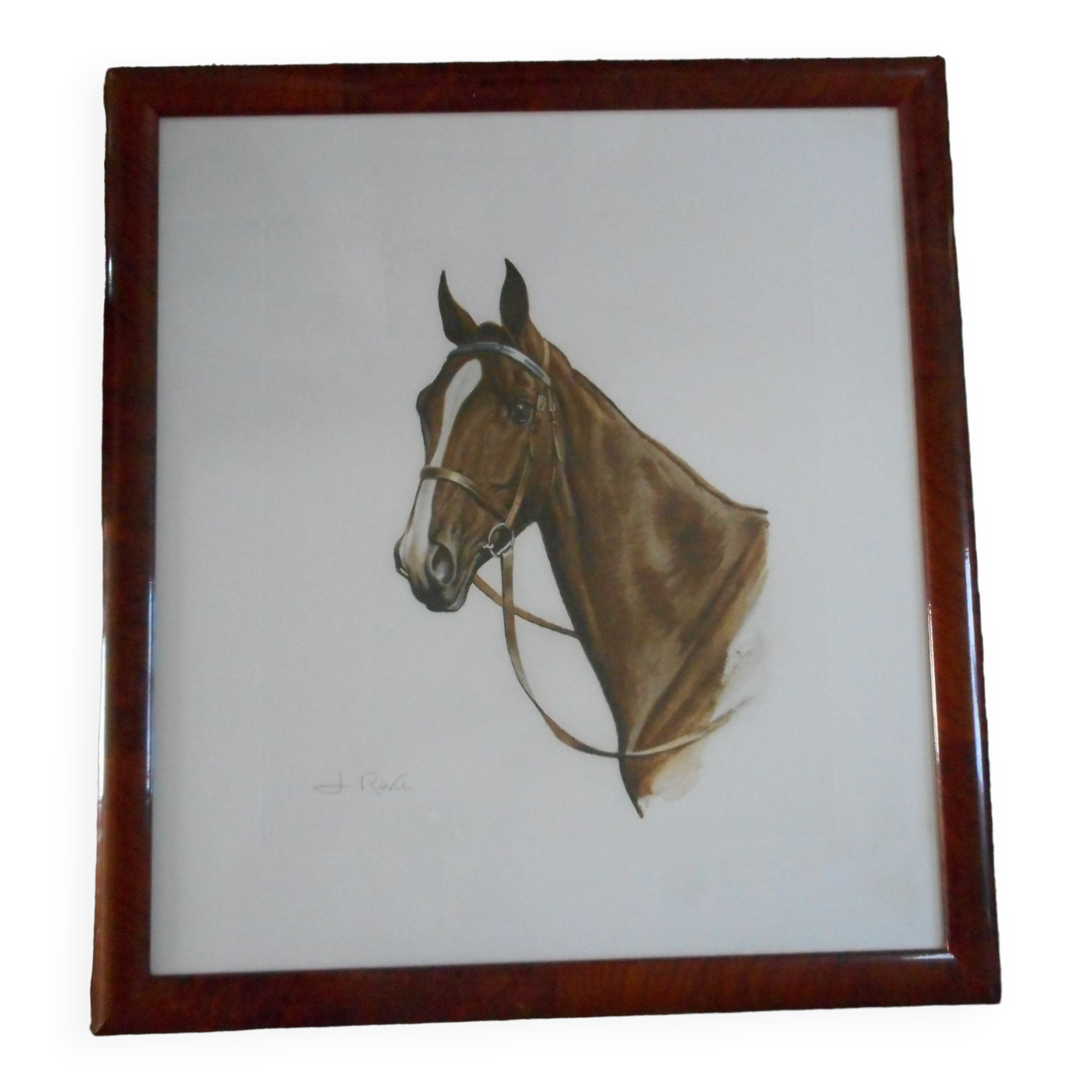 Portrait of a horse lithograph by jean rivet