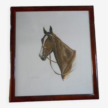 Portrait de cheval lithographie de jean rivet