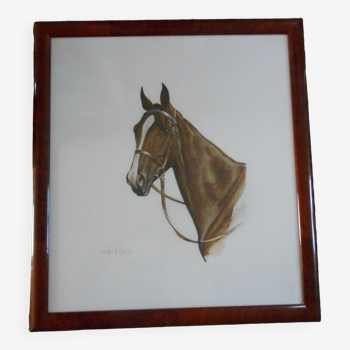 Portrait of a horse lithograph by jean rivet