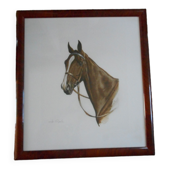 Portrait de cheval lithographie de jean rivet