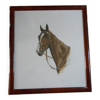 Portrait of a horse lithograph by jean rivet