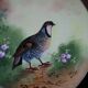 2 decorative flat plates porcelain Limoges partridge and pheasants