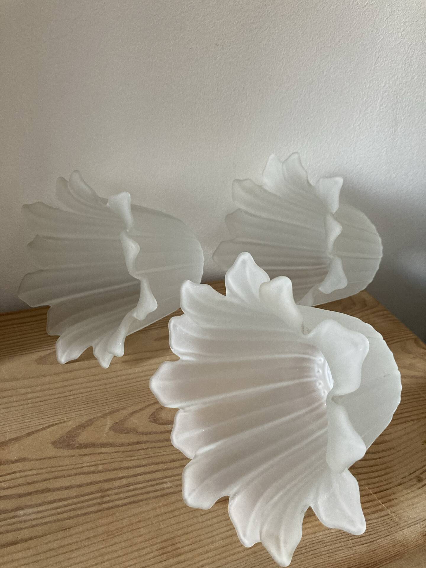 Glass tulips / pâte de verre