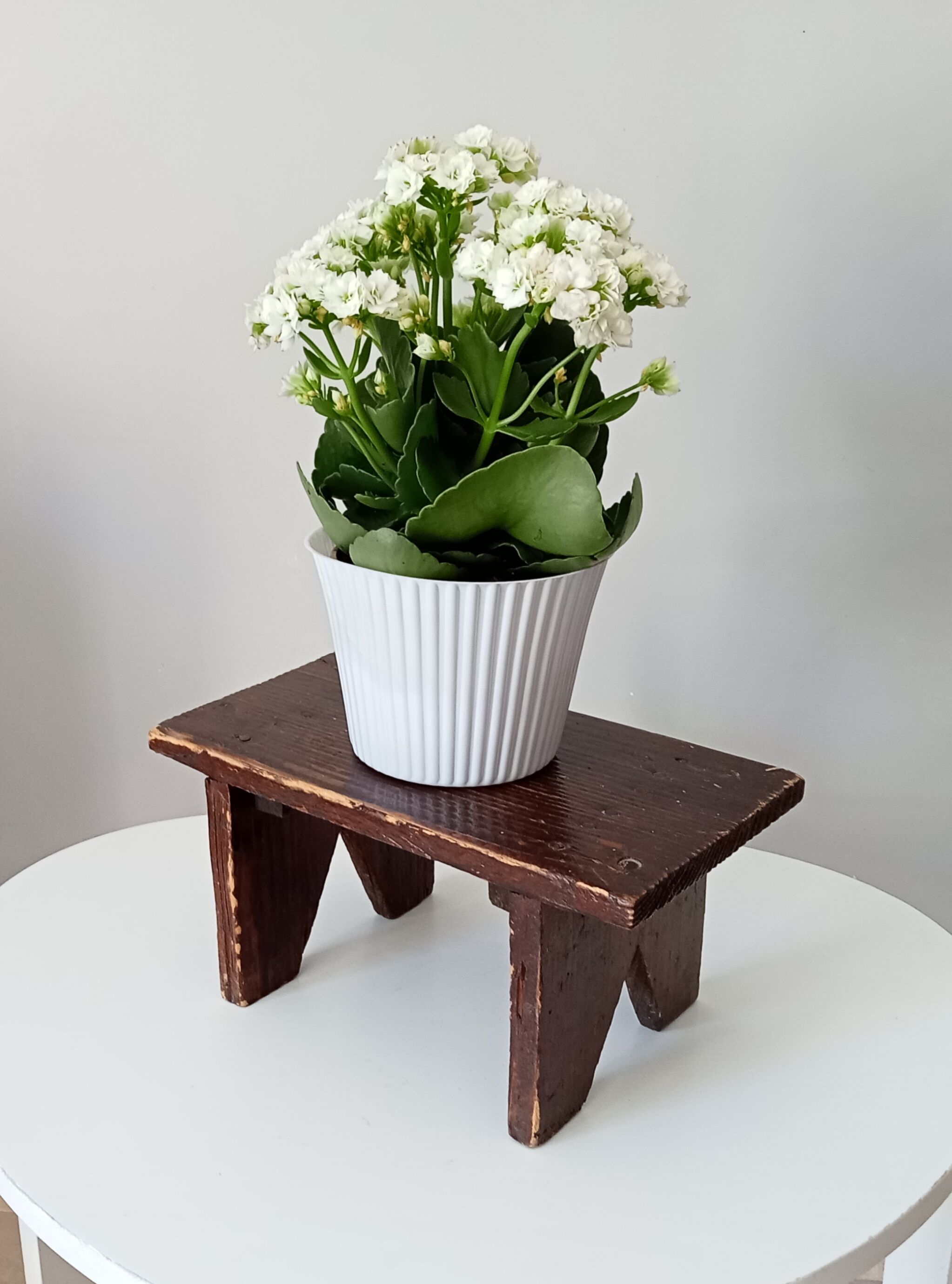 Vintage milking stool