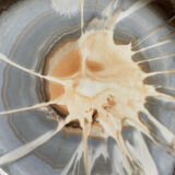 Series of 4 plates Pyroblan Sarreguemines vintage