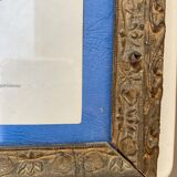 Ornithological frame “cage birds”.