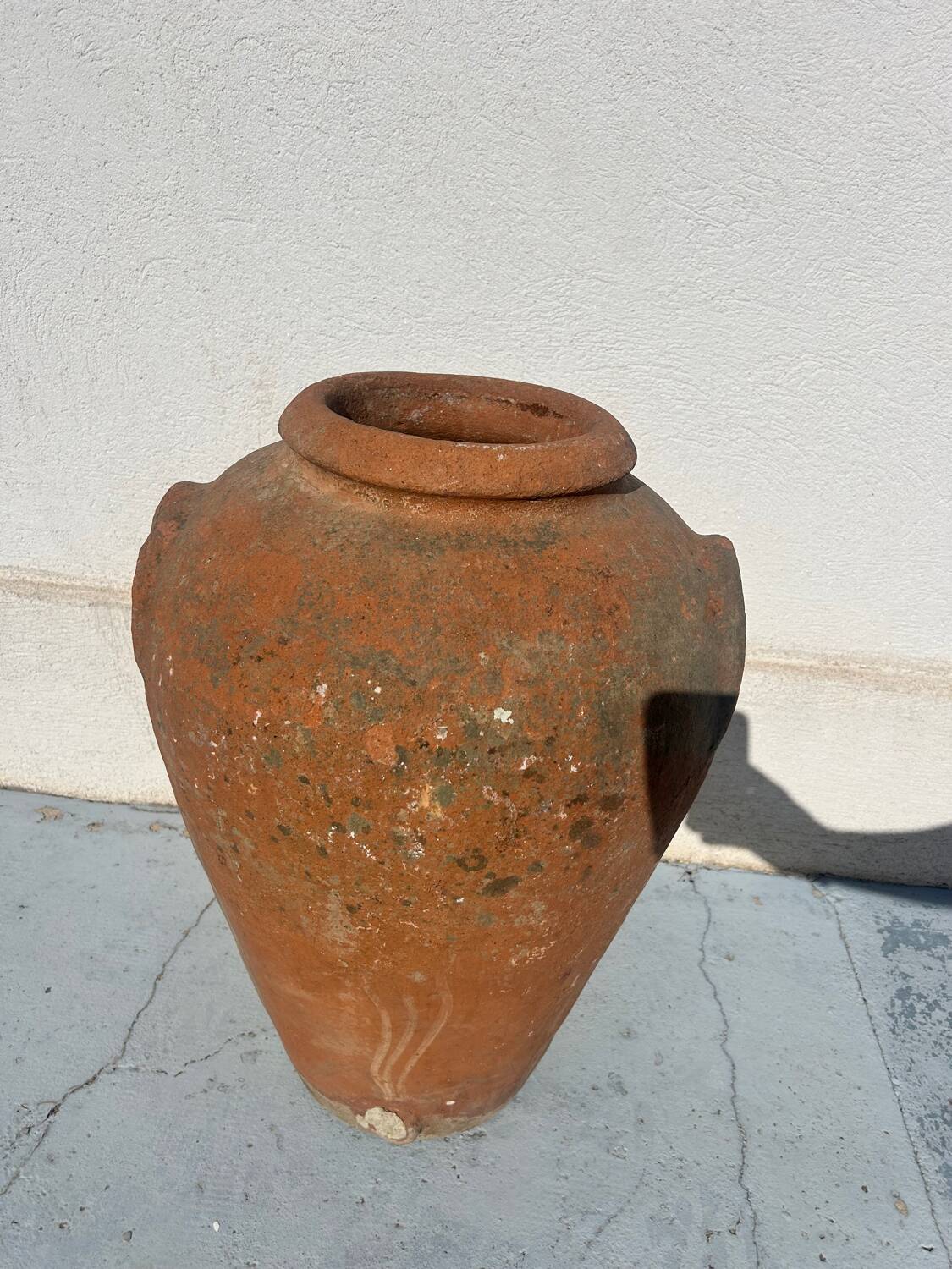 Ancient Tuscan olive oil jar