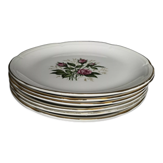 6 assiettes plates