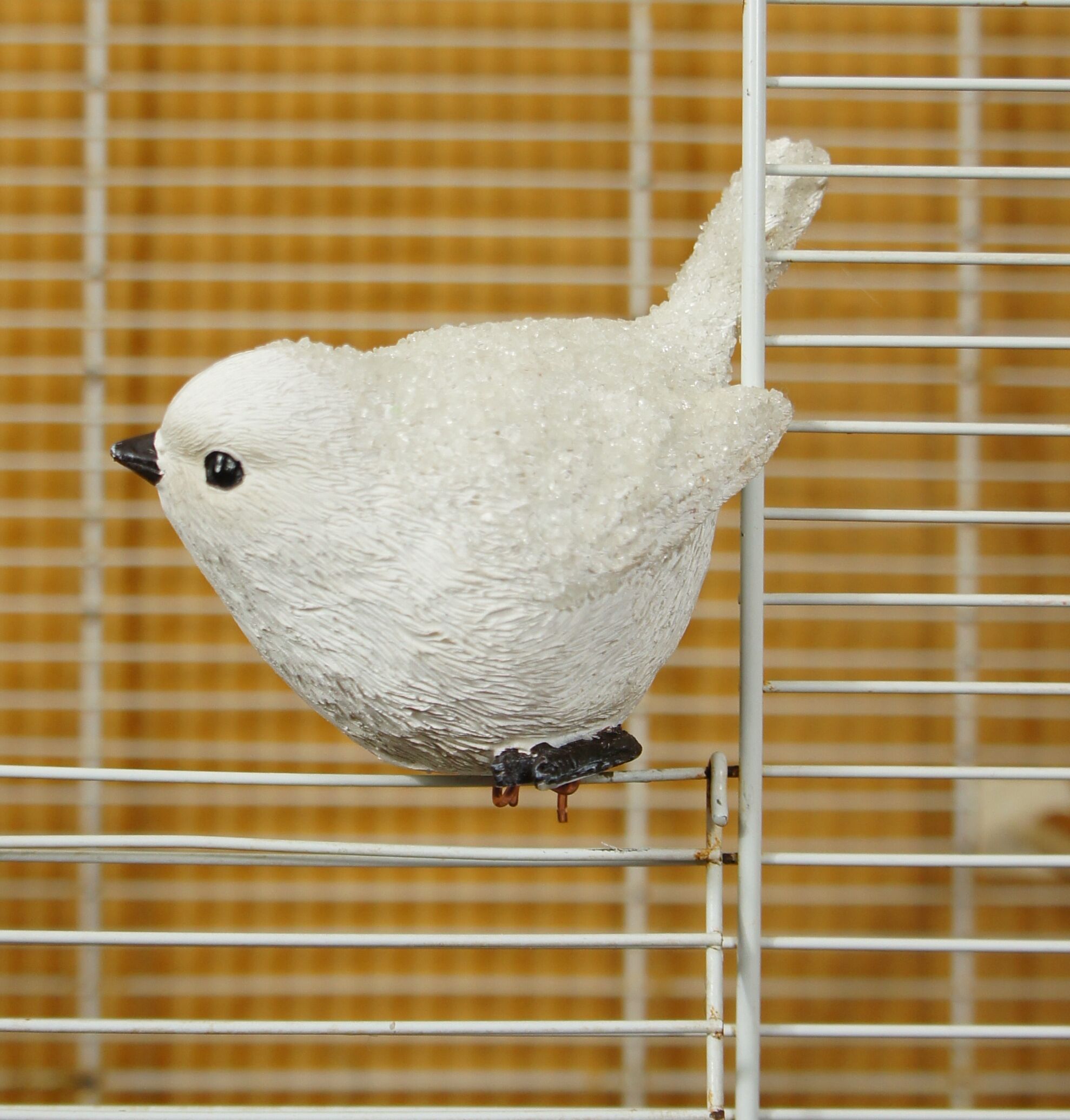 Decorative bird cage & its 3 piafs