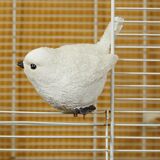 Decorative bird cage & its 3 piafs