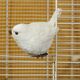 Cage à oiseaux décorative & ses 3 oiseaux