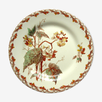 Art Nouveau plate, GIEN polychrome opaque porcelain, Bégonias