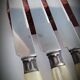 Box 12 horn knives