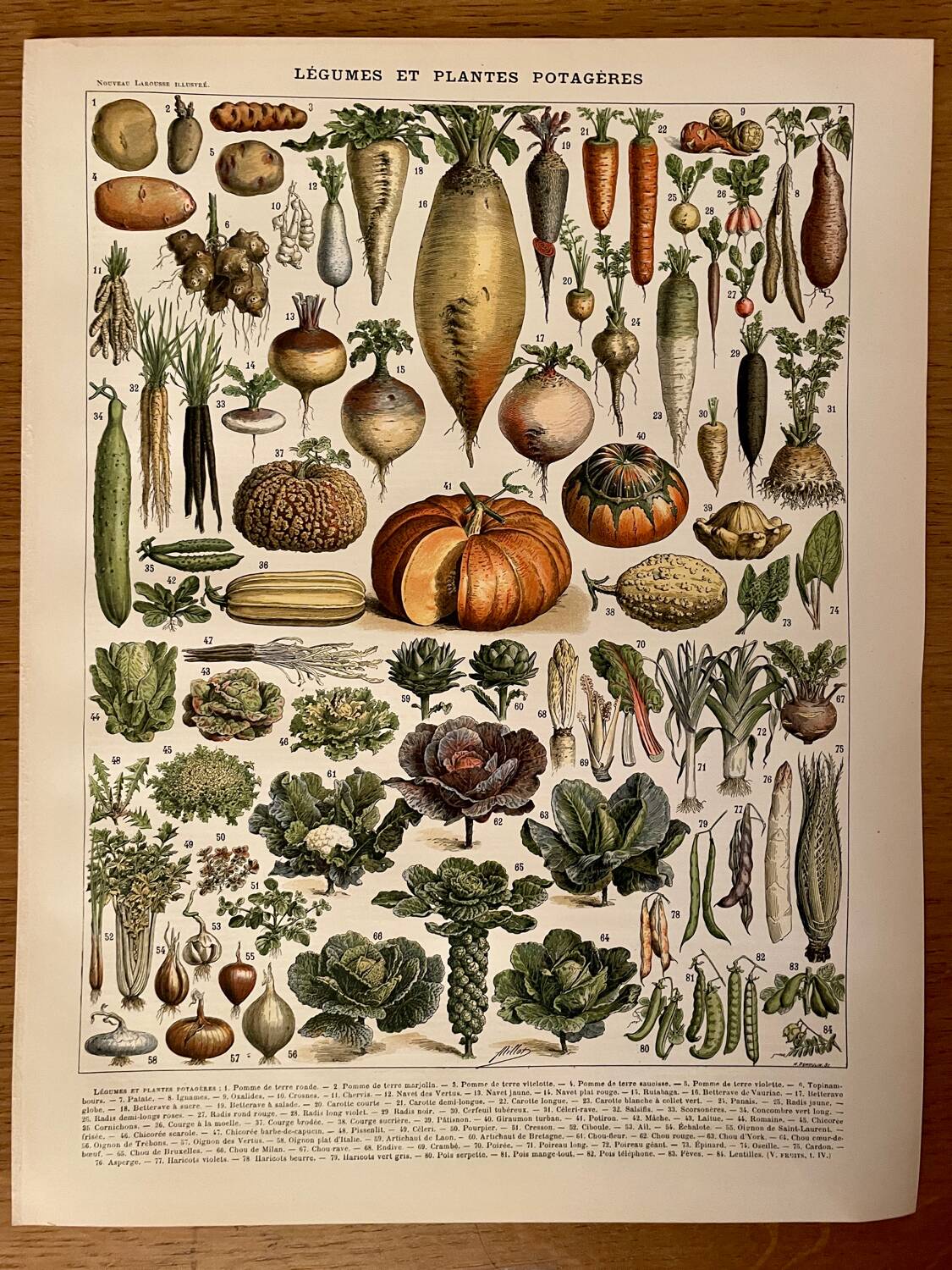 Reserved Sabine B - Lot of 2 lithographs on fruits