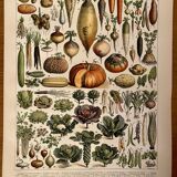 Reserved Sabine B - Lot of 2 lithographs on fruits