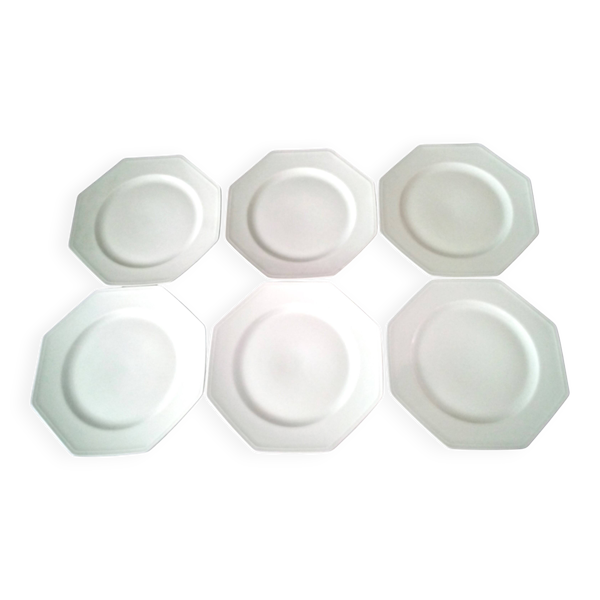 6 Assiettes de présentation octogonales en porcelaine de Limoges