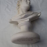 bust of antique subject on pedestal