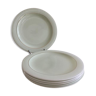 Salins porcelain flat plates