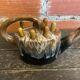Vintage ceramic flower vase alphonse mouton watering can