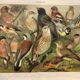 Zoological engraving from 1909 - Garden birds - Old German print