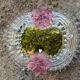 Vintage Murano mirror