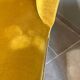 Golden velvet daybed