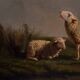 Eugène Verboeckhoven Oil on Panel 1844