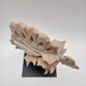Sculpture Ademak by Murielle Bonin