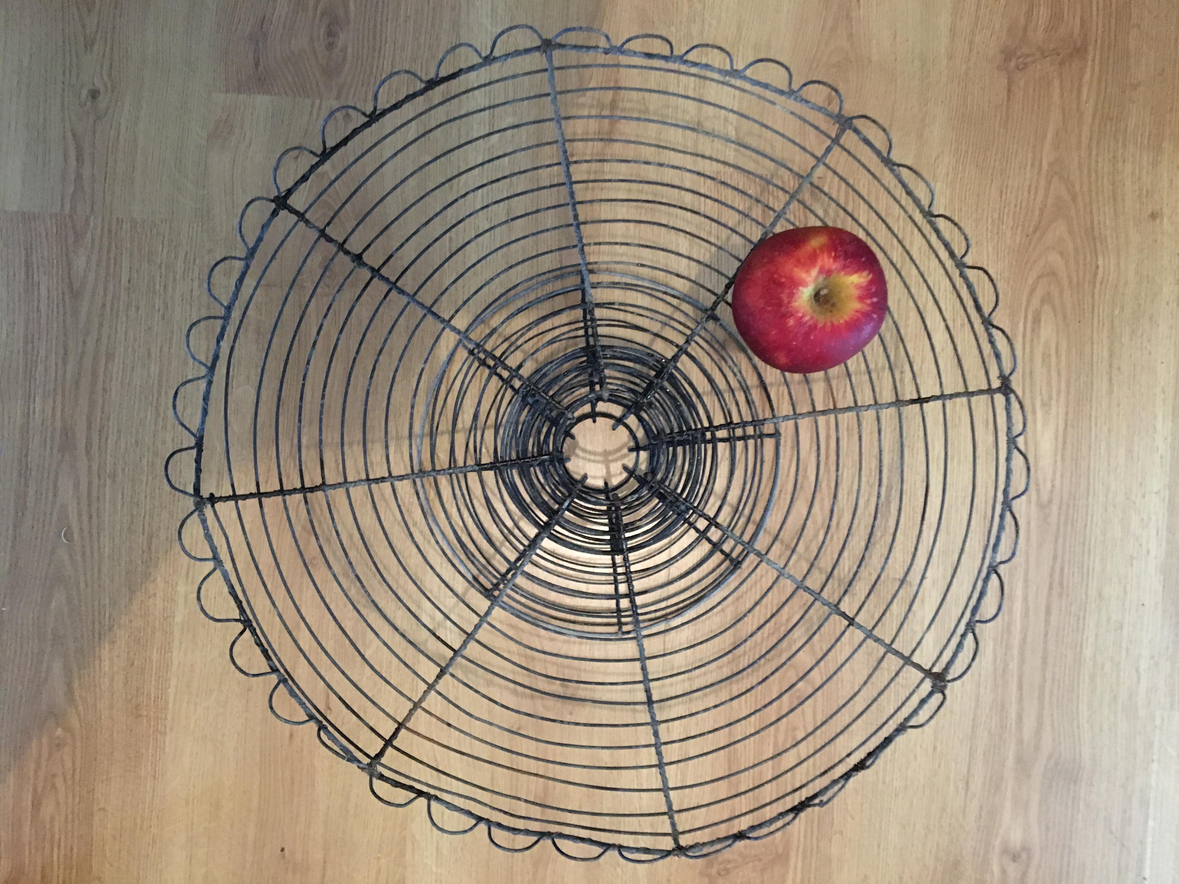 Great cut fruit iron and wire