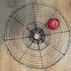 Great cut fruit iron and wire