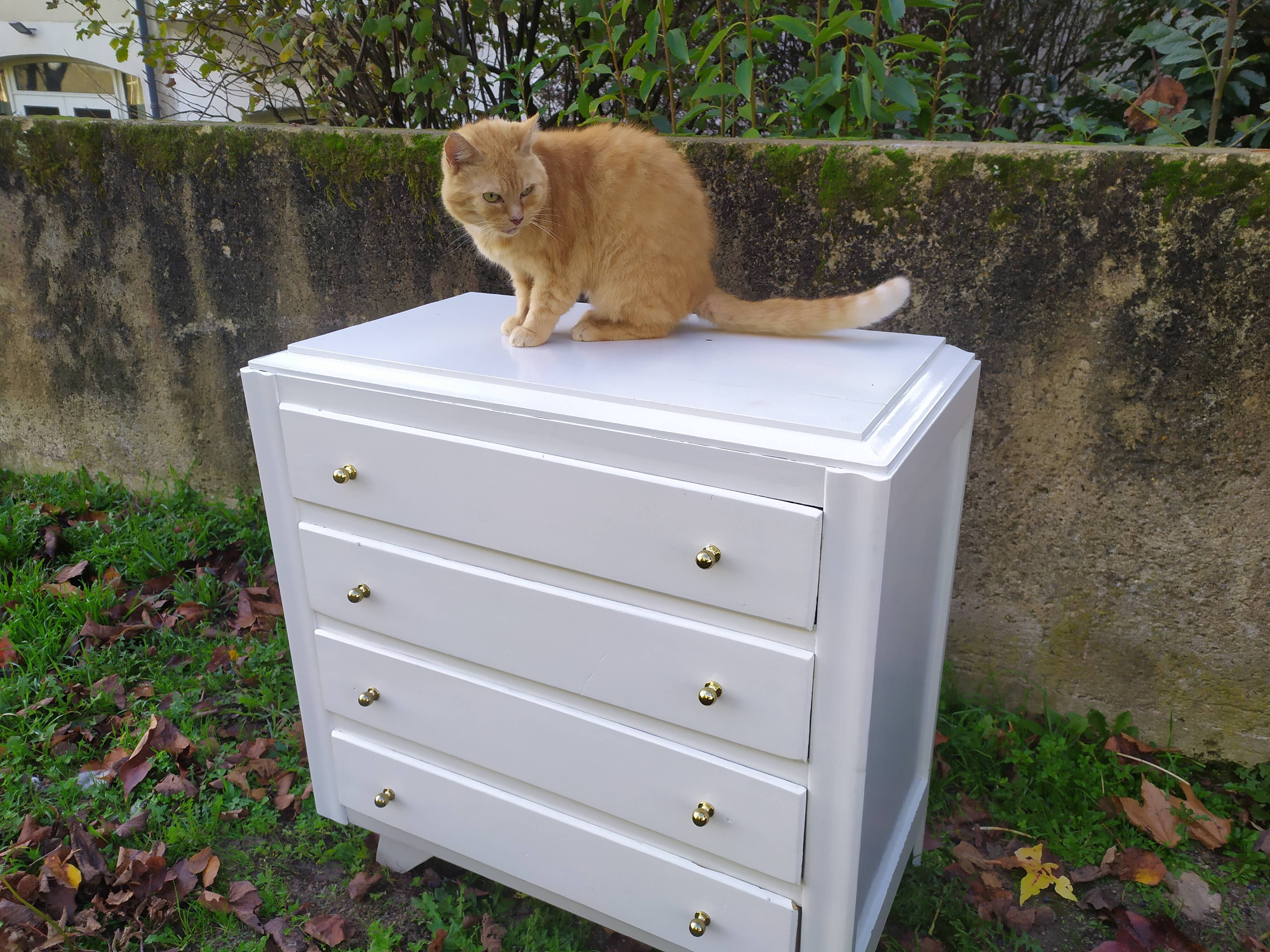 50s chest of drawers