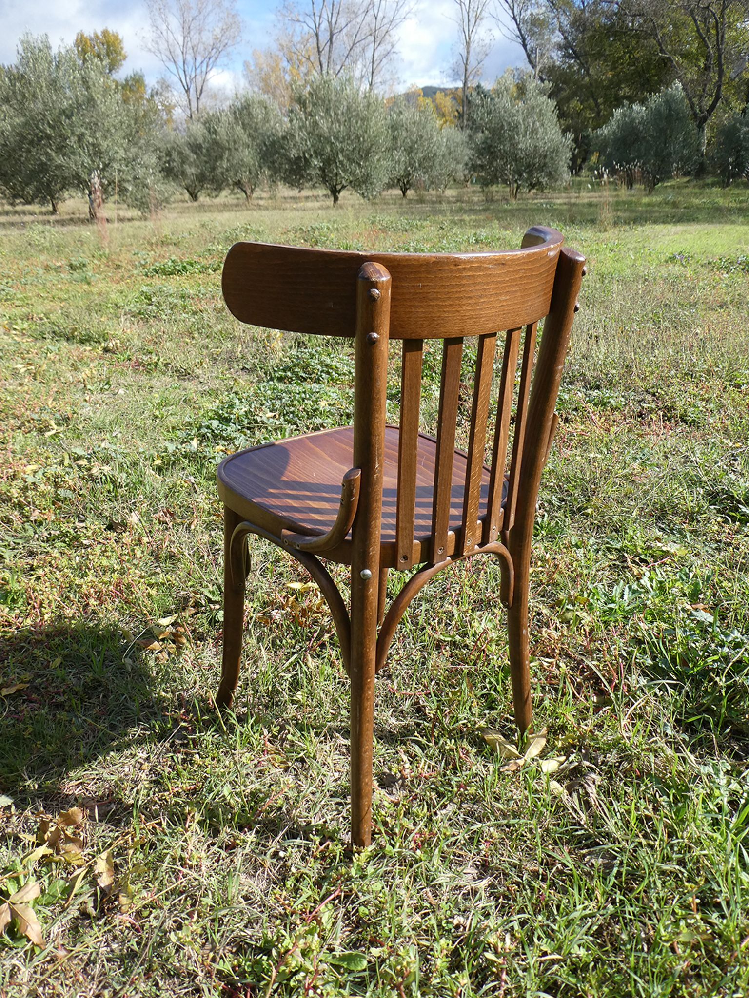 Lot de 11 chaises bistrot en bois courbé vintage