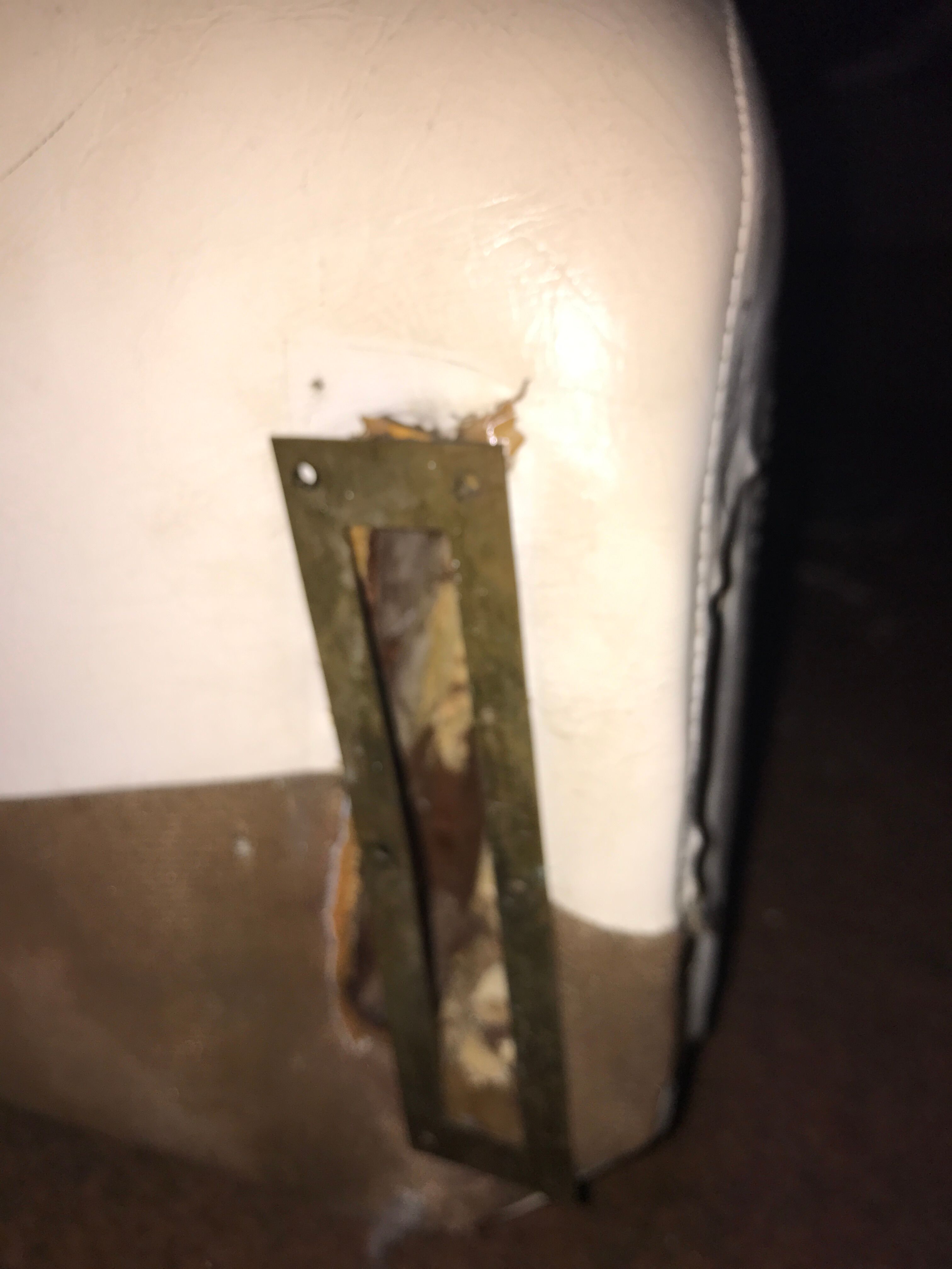 Anemone bed by Bernard Gauvin 1972