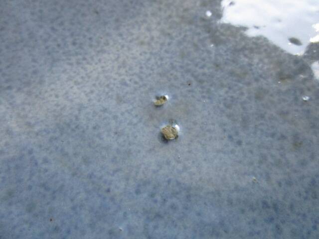 Vintage ceramic cup, signed