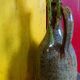 Vintage pottery in sandstone with handles and small beak