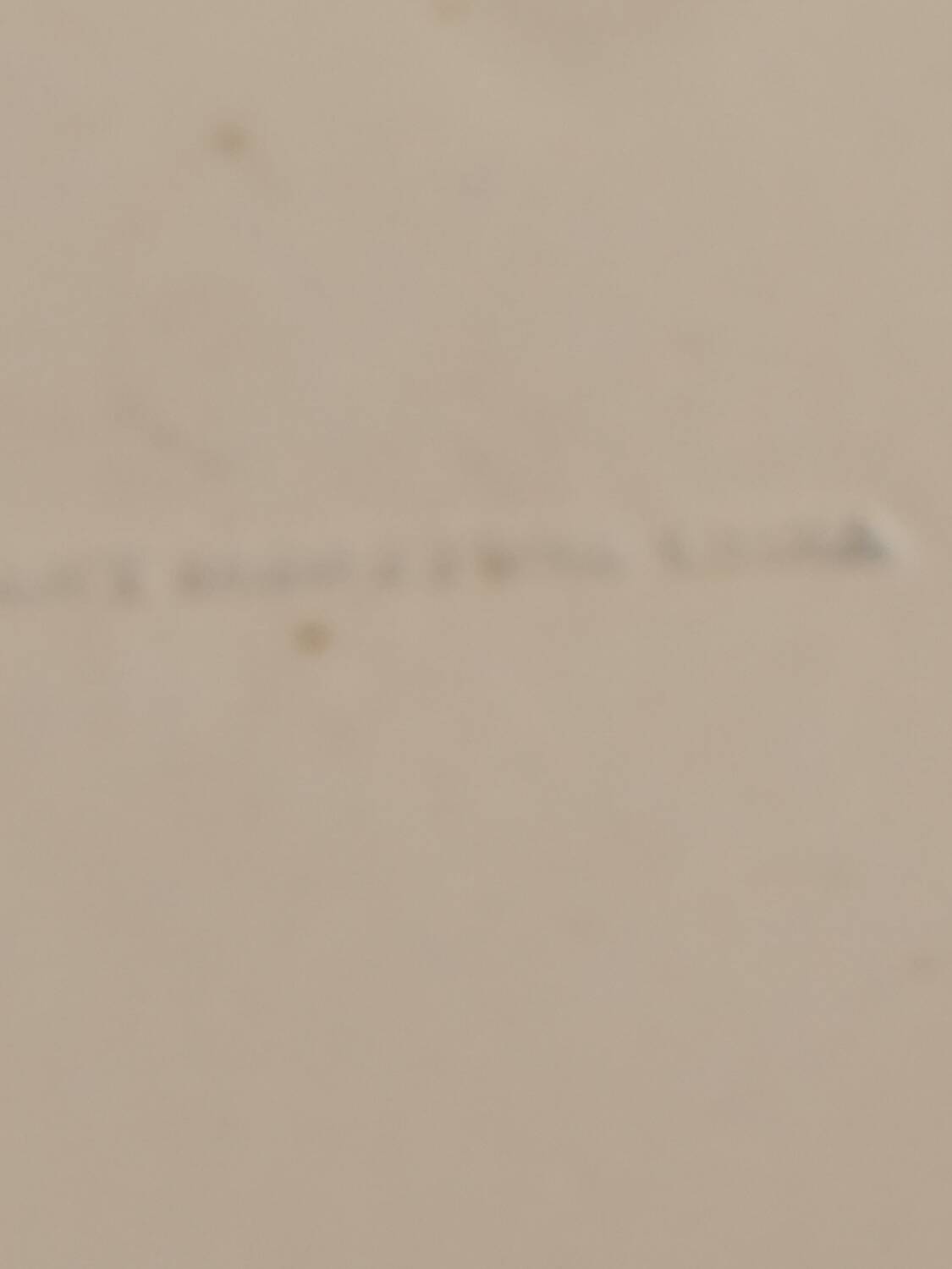 Mason's Ironstone plate, early 19th century