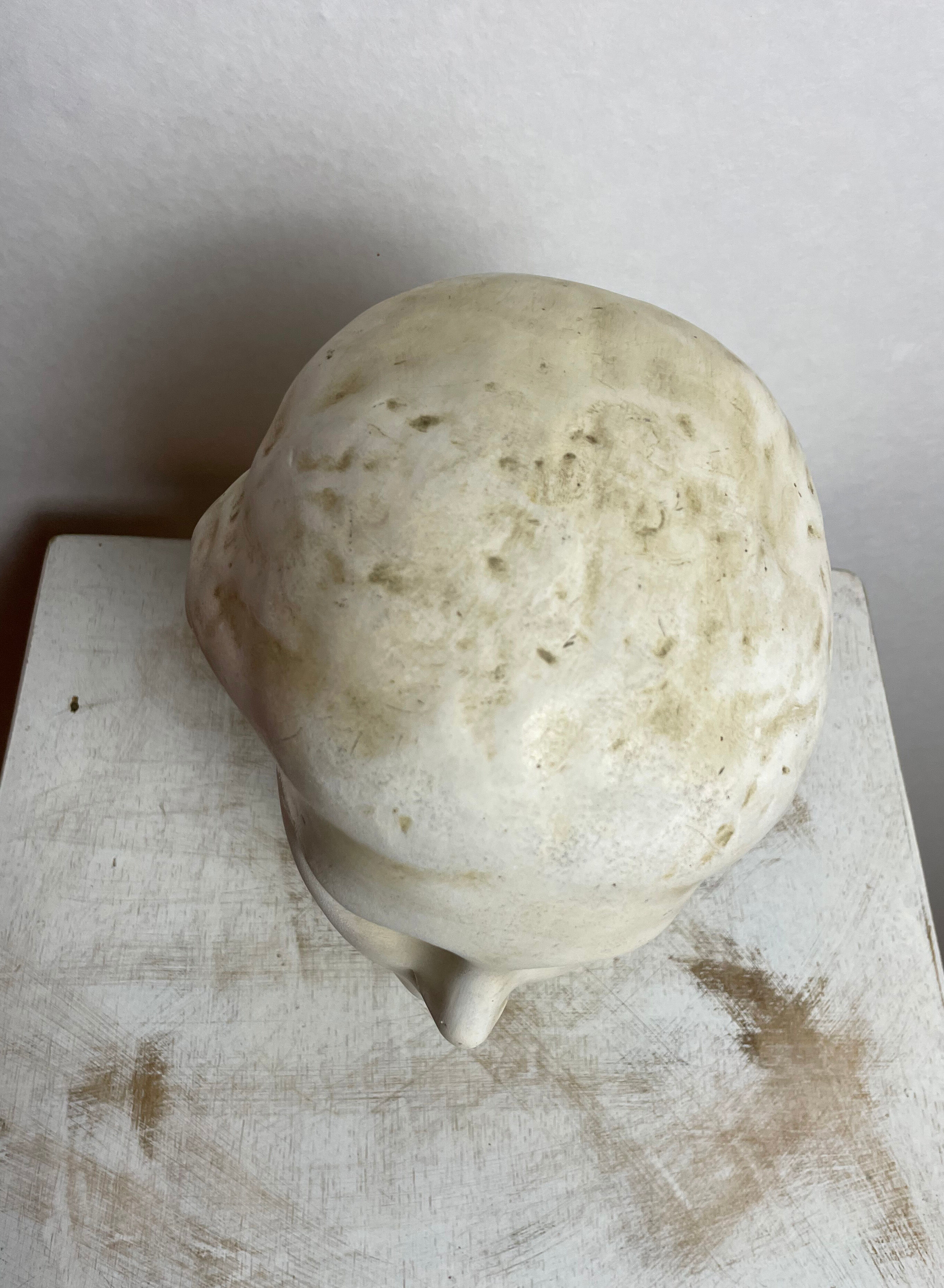 Plaster head