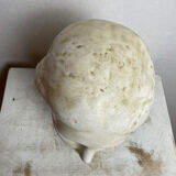 Plaster head