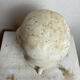 Plaster head