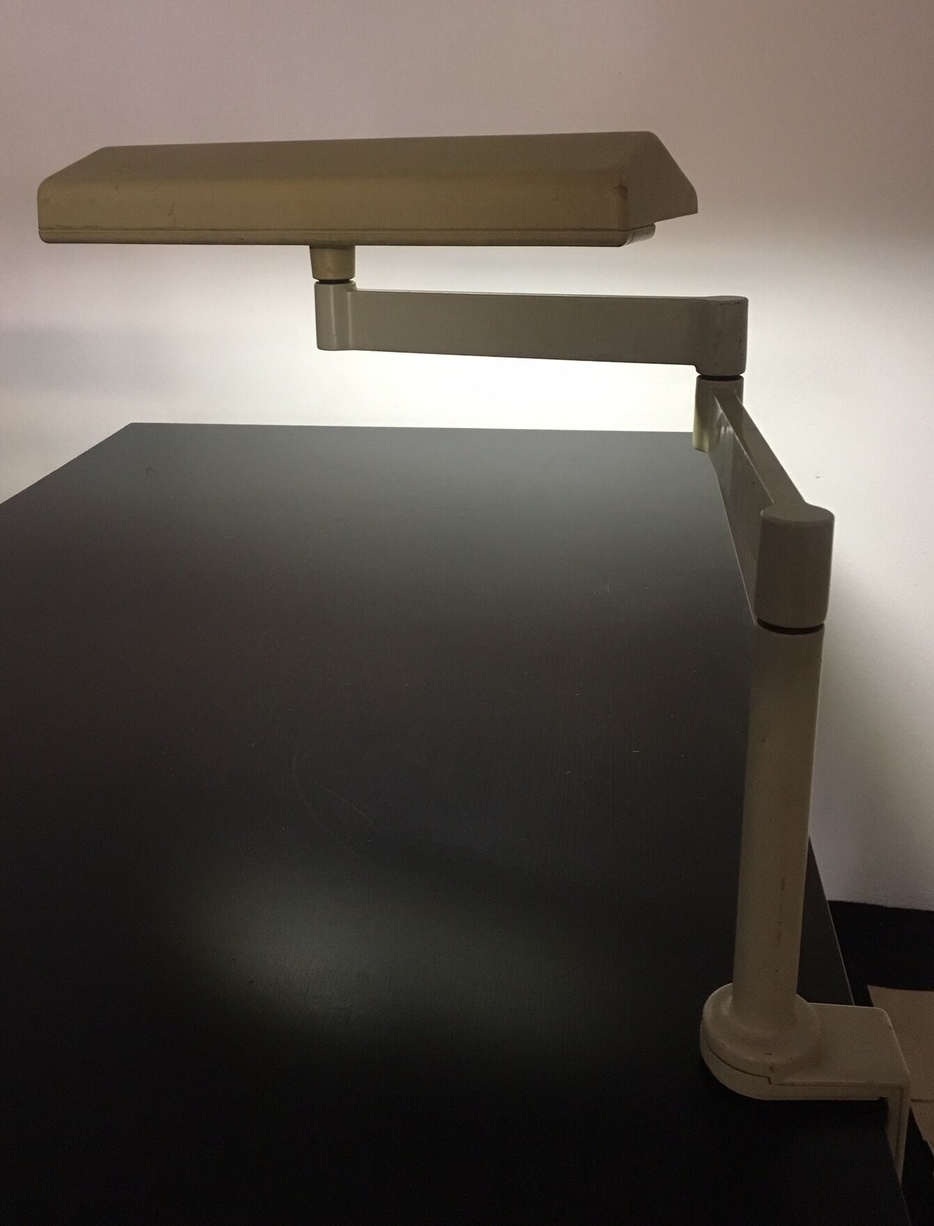 Pair of lamps Herman Miller LT100LN