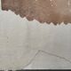 Painting decorative art interior architecture 30-50s
