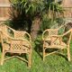 Paire de fauteuils en rotin