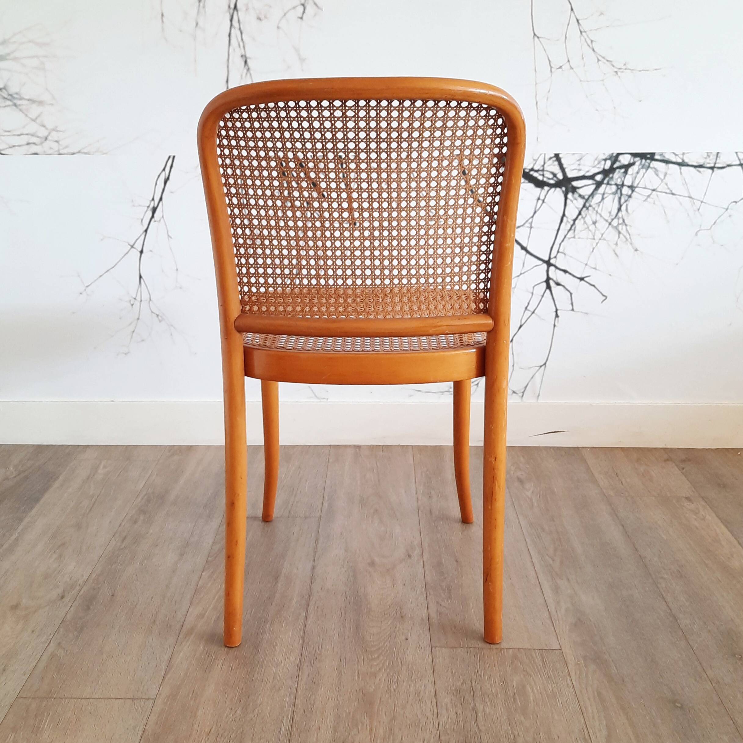 Suite de 4 chaises blondes Prague ou 811, Ligna, 1970