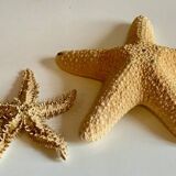 Vintage starfish