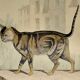 Planche zoologique originale de 1839 " chat domestique & angora "