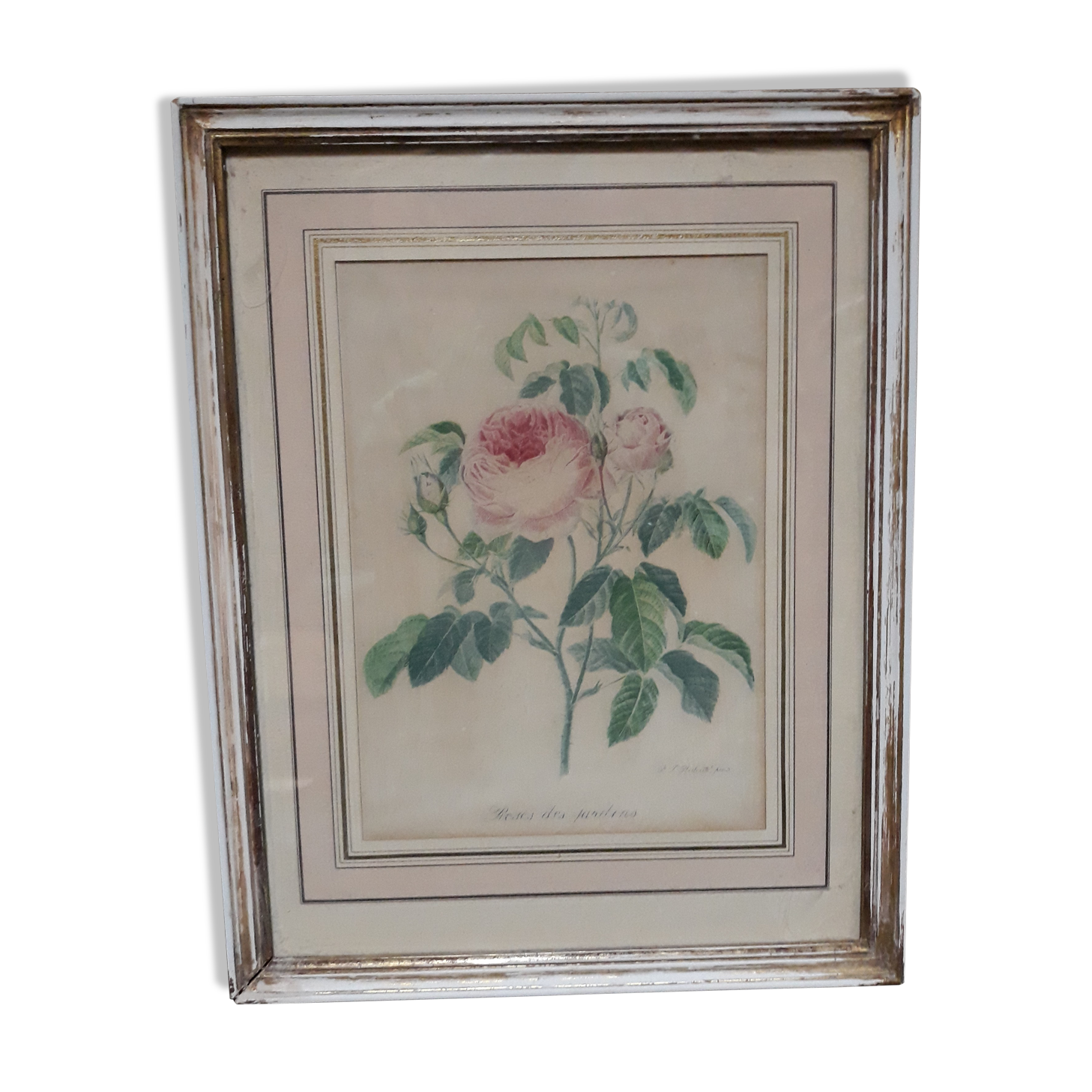 Pink botanical board of vintage gardens