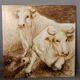 Oil painting on wooden panel representing oxen