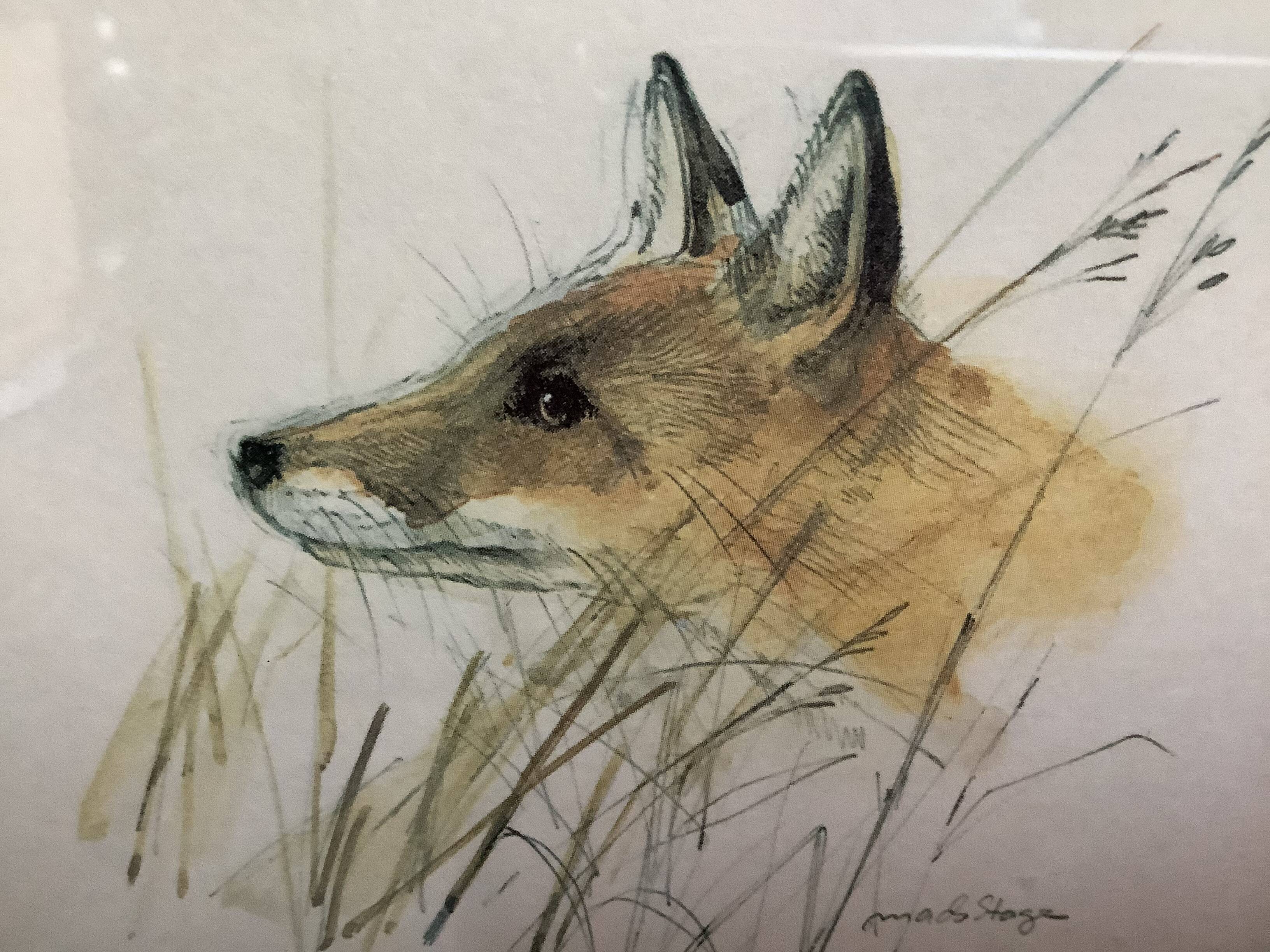 Small fox painting lady clare