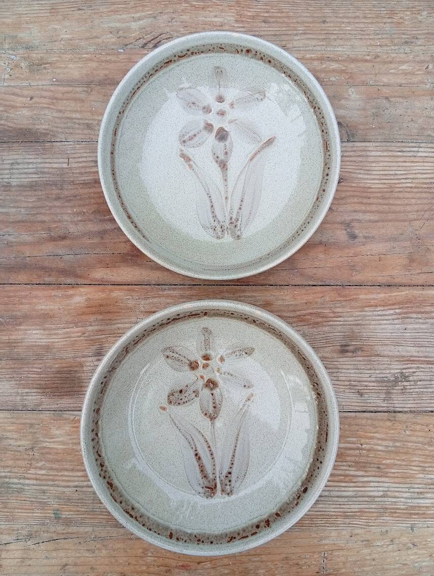 6 Sarreguemines deep plates