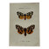 Naturalist engraving Butterfly 19th-century original botanical poster 1800